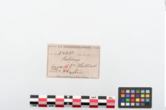 Etiketten zu Schleifstein (NHMW-PRAE-024235)